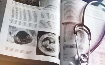 NEET Syllabus